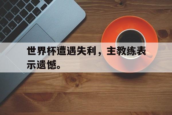 半岛体育-世界杯遭遇失利，主教练表示遗憾。