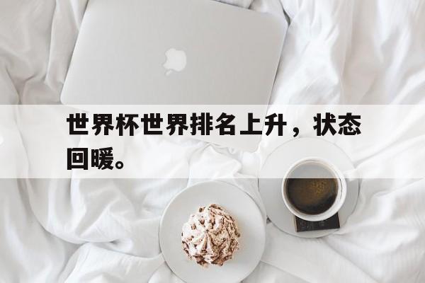 半岛体育-世界杯世界排名上升，状态回暖。